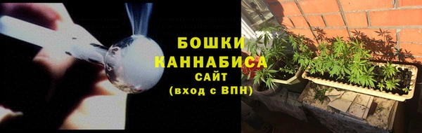 соль ск Богданович