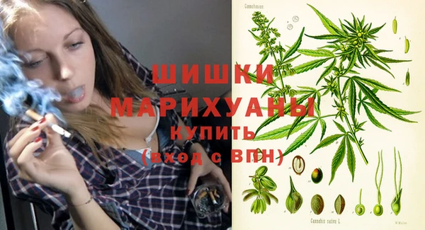 спайс Белокуриха