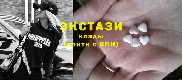 дмт Бородино
