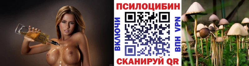 Псилоцибиновые грибы GOLDEN TEACHER  mega рабочий сайт  Великие Луки 